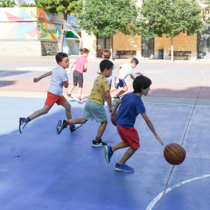 Campus esportiu safa horta basquet 300x300 - Campus-esportiu-safa-horta-basquet