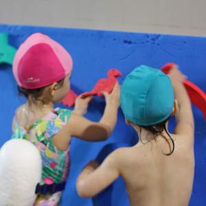 anemalaigua1 casal infantil safa 300x300 - anemalaigua1-casal-infantil-safa